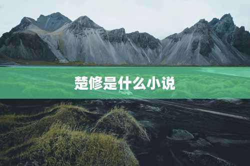 楚修是什么小说