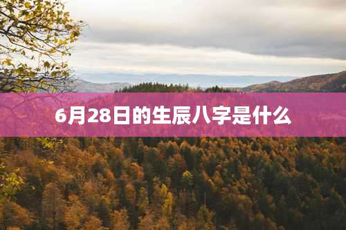 6月28日的生辰八字是什么