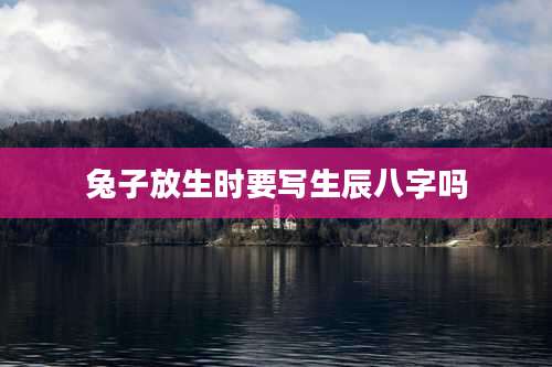 兔子放生时要写生辰八字吗