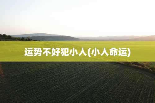 运势不好犯小人(小人命运)