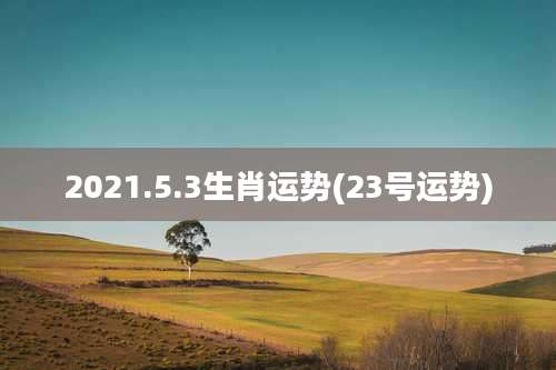 2021.5.3生肖运势(23号运势)