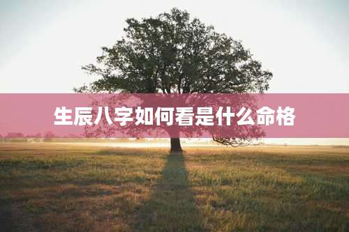 生辰八字如何看是什么命格