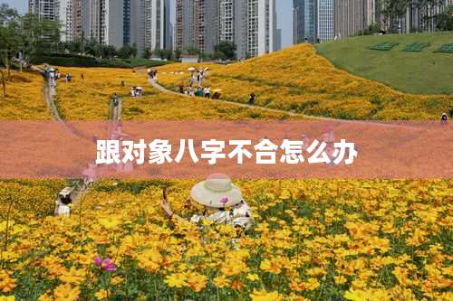 跟对象八字不合怎么办
