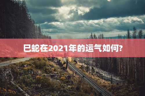 巳蛇在2021年的运气如何?