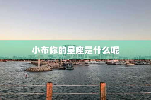 小布你的星座是什么呢