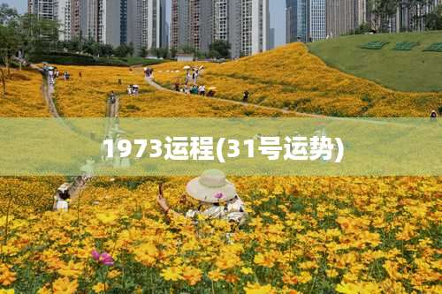 1973运程(31号运势)
