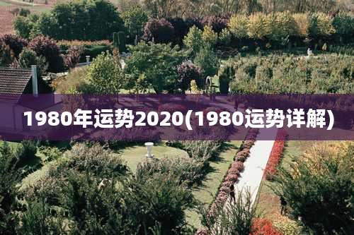 1980年运势2020(1980运势详解)