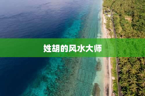 姓胡的风水大师