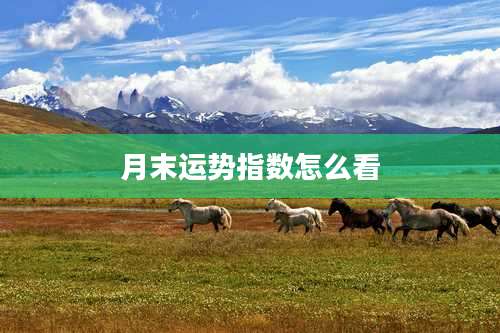 月末运势指数怎么看
