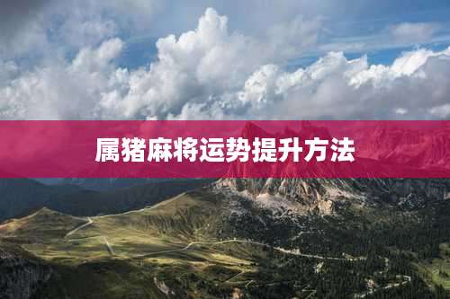 属猪麻将运势提升方法