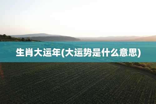 生肖大运年(大运势是什么意思)