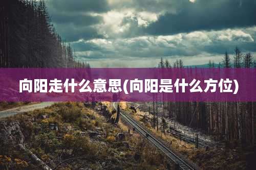 向阳走什么意思(向阳是什么方位)