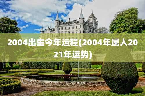 2004出生今年运程(2004年属人2021年运势)