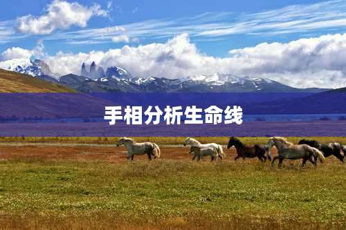 手相分析生命线