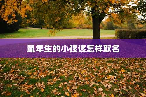 鼠年生的小孩该怎样取名