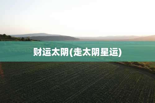 财运太阴(走太阴星运)
