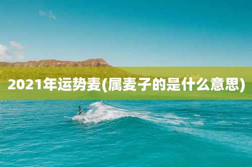 2021年运势麦(属麦子的是什么意思)
