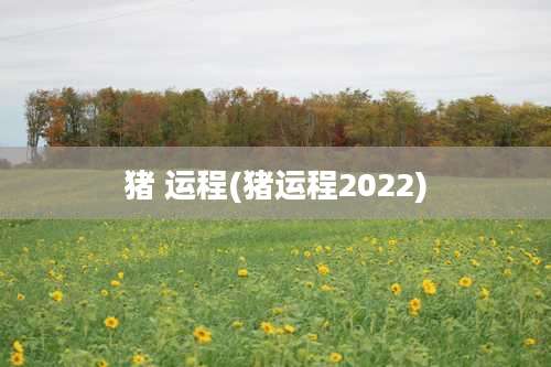 猪 运程(猪运程2022)