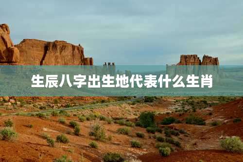 生辰八字出生地代表什么生肖