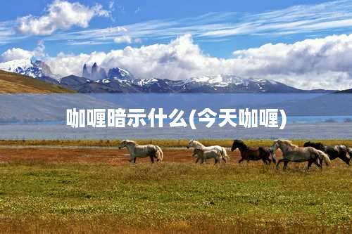 咖喱暗示什么(今天咖喱)