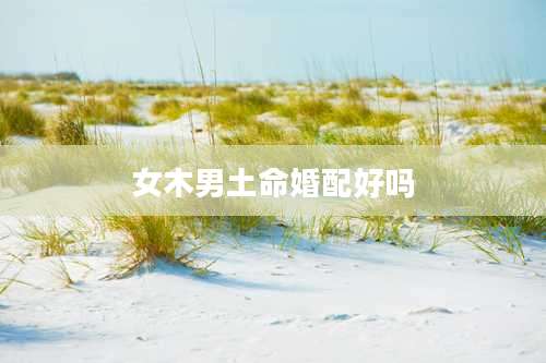 女木男土命婚配好吗