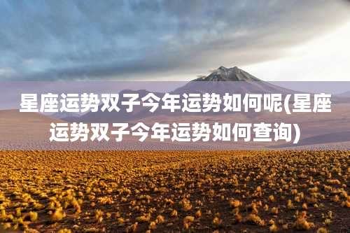 星座运势双子今年运势如何呢(星座运势双子今年运势如何查询)