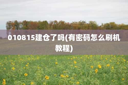 010815建仓了吗(有密码怎么刷机教程)