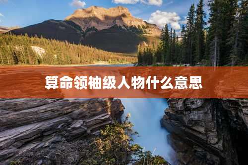 算命领袖级人物什么意思