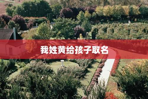 我姓黄给孩子取名