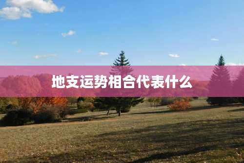 地支运势相合代表什么