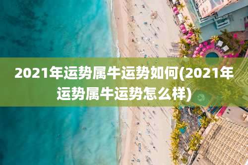 2021年运势属牛运势如何(2021年运势属牛运势怎么样)