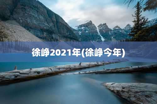 徐峥2021年(徐峥今年)