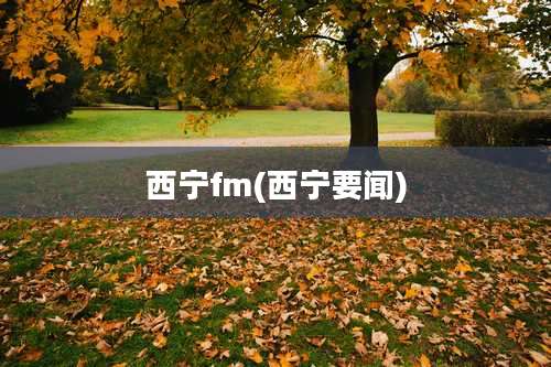 西宁fm(西宁要闻)