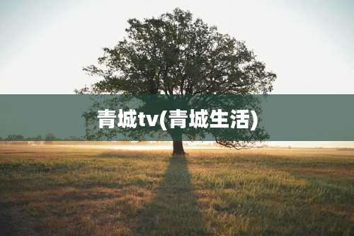青城tv(青城生活)