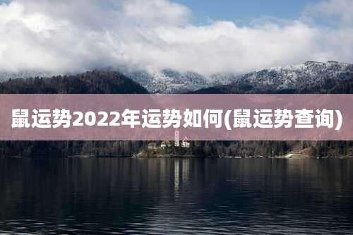鼠运势2022年运势如何(鼠运势查询)