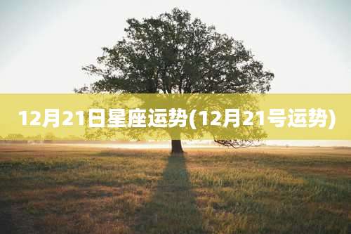 12月21日星座运势(12月21号运势)