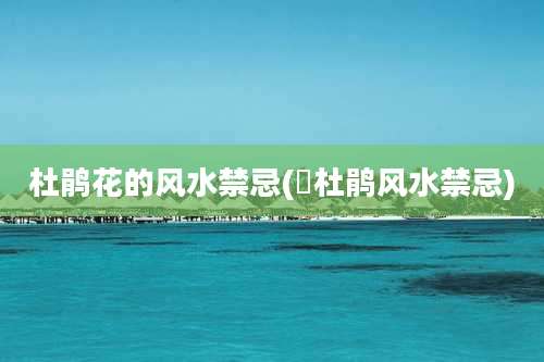 杜鹃花的风水禁忌(簕杜鹃风水禁忌)