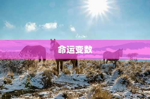 命运变数