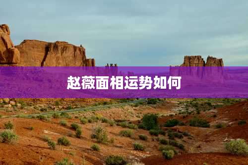 赵薇面相运势如何