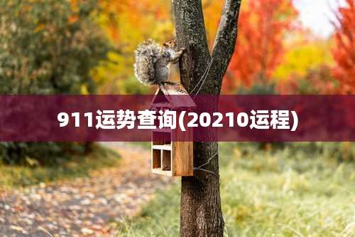 911运势查询(20210运程)