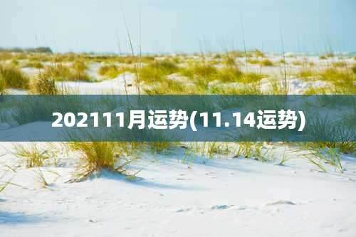 202111月运势(11.14运势)