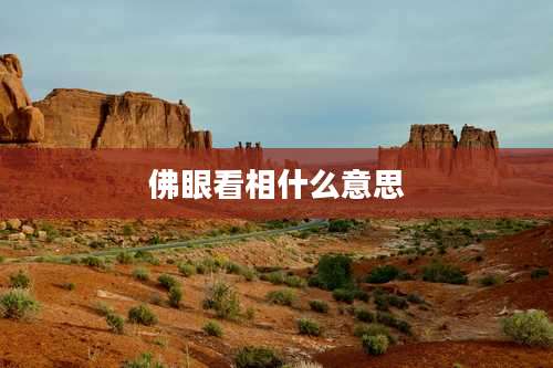 佛眼看相什么意思