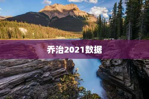 乔治2021数据