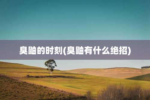 臭鼬的时刻(臭鼬有什么绝招)