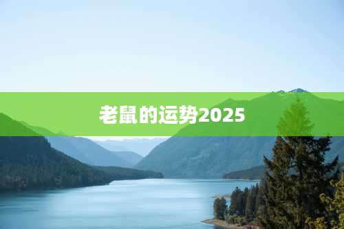 老鼠的运势2025