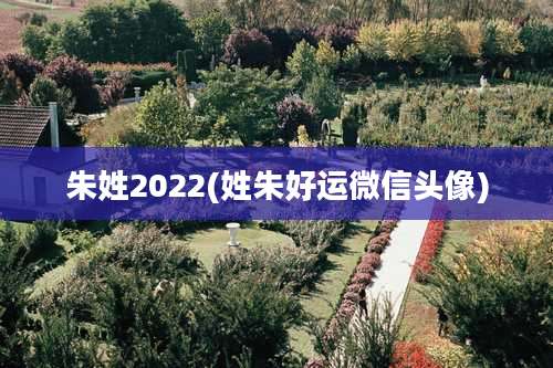 朱姓2022(姓朱好运微信头像)