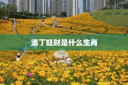 添丁旺财是什么生肖