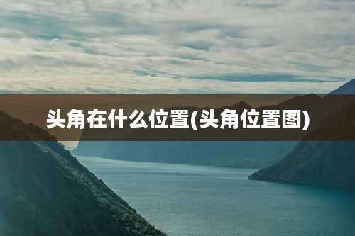 头角在什么位置(头角位置图)