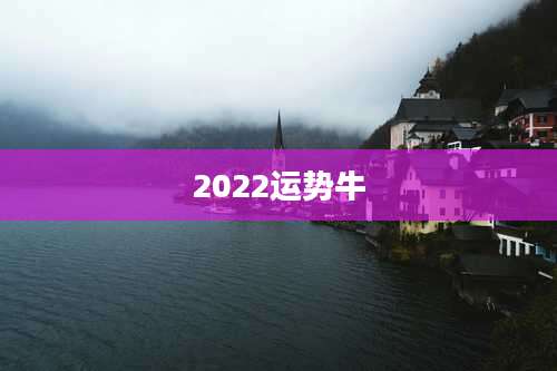 2022运势牛