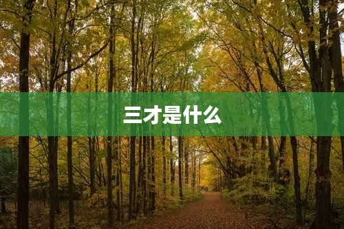 三才是什么